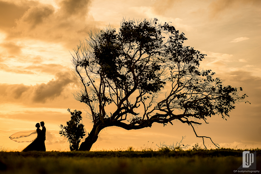 Prewedding in Nusa Lembongan Island Bali happy love smile white dress and tuxedo sunset silhouette tree green grass